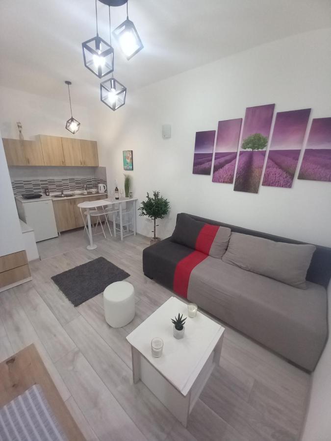 Apartment Capital Town Novi Sad Bagian luar foto